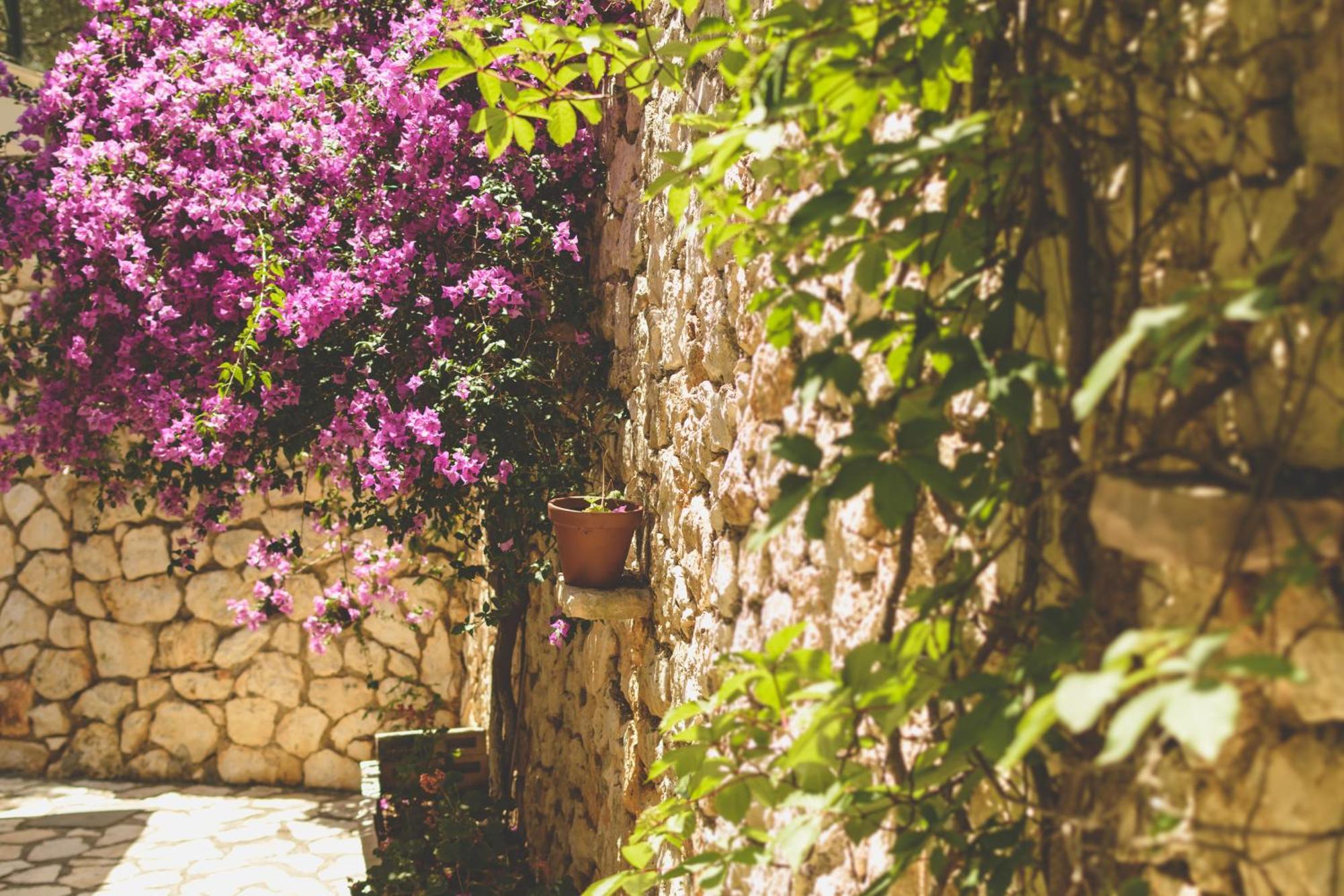 Althea Studios Lefkada อาโยส นิกีตัส ห้อง รูปภาพ
